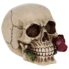 Beiger Totenschädel Mit Roter Rose 15cm -Halloween Kostüme Geschäft beiger totenkopf mit roter rose beiger totenschaedel mit roter rose antic skull with red rose 53389 01