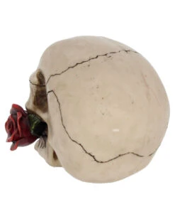 Beiger Totenschädel Mit Roter Rose 15cm -Halloween Kostüme Geschäft beiger totenkopf mit roter rose beiger totenschaedel mit roter rose antic skull with red rose 53389 04