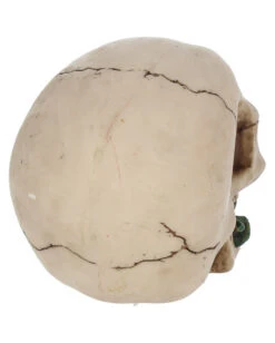 Beiger Totenschädel Mit Roter Rose 15cm -Halloween Kostüme Geschäft beiger totenkopf mit roter rose beiger totenschaedel mit roter rose antic skull with red rose 53389 05