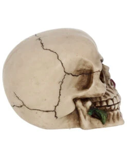 Beiger Totenschädel Mit Roter Rose 15cm -Halloween Kostüme Geschäft beiger totenkopf mit roter rose beiger totenschaedel mit roter rose antic skull with red rose 53389 06