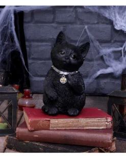 Freche Katze Zeigt Mittelfinger 16,5cm -Halloween Kostüme Geschäft cattitude katze zeigt mittelfinger cattitude cat showing middle finger gothic deko geschenkartikel 53939 7