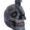 Schuppige Schlange In Totenkopf 19cm -Halloween Kostüme Geschäft das schicksal der schlange gothic schaedel 19cm serpentine fate gothic snake skull gothic deko totenkopf 53993