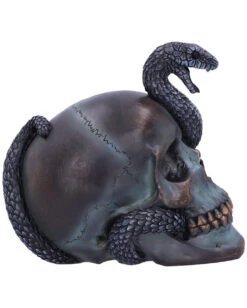 Schuppige Schlange In Totenkopf 19cm -Halloween Kostüme Geschäft das schicksal der schlange gothic schaedel 19cm serpentine fate gothic snake skull gothic deko totenkopf 53993 4