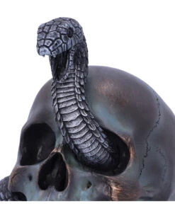 Schuppige Schlange In Totenkopf 19cm -Halloween Kostüme Geschäft das schicksal der schlange gothic schaedel 19cm serpentine fate gothic snake skull gothic deko totenkopf 53993 5