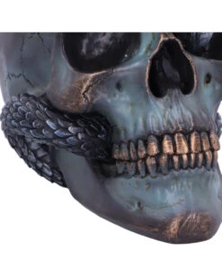 Schuppige Schlange In Totenkopf 19cm -Halloween Kostüme Geschäft das schicksal der schlange gothic schaedel 19cm serpentine fate gothic snake skull gothic deko totenkopf 53993 6