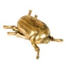 Goldfarbener Skarabäus Käfer Wandgestaltung 15cm -Halloween Kostüme Geschäft goldfarbener skarabaeus kaefer wandkunst golden scarab beetle wall art wohnaccessoire 54797 01