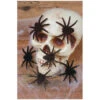 Haarige Mini Spinnen 6er Set 1 Haarige Mini Spinnen 6er Set -Halloween Kostüme Geschäft haarige mini spinnen schwarz halloween spinnen halloween decoration spiders 37506