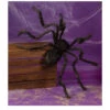 Schwarze Riesenspinne -Halloween Kostüme Geschäft haarige monsterspinne als halloween dekoration hairy monster spider as halloween decoration 21388