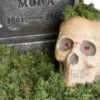 Halloween Deko Moos 100 G -Halloween Kostüme Geschäft halloween deko moos 100g halloween friedhof dekoration moos halloween decoration 28263 2