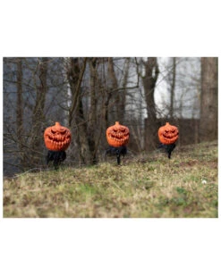 Spooky Halloween Kürbis Mit Erdspieß 3er-Set -Halloween Kostüme Geschäft halloween kuerbis erdspiess 3er set halloween und horror aussendeko halloween pumpkin led decoration 53954 3