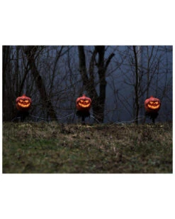 Spooky Halloween Kürbis Mit Erdspieß 3er-Set -Halloween Kostüme Geschäft halloween kuerbis erdspiess 3er set halloween und horror aussendeko halloween pumpkin led decoration 53954 4