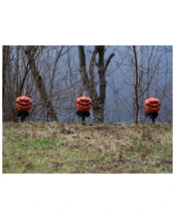 Spooky Halloween Kürbis Mit Erdspieß 3er-Set -Halloween Kostüme Geschäft halloween kuerbis erdspiess 3er set halloween und horror aussendeko halloween pumpkin led decoration 53954 5