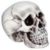 Beiger, Realistischer Totenkopf -Halloween Kostüme Geschäft halloween totenschaedel halloween totenkopf halloween deko realistic skull 21539 01