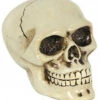 Schaltknauf Totenschädel -Halloween Kostüme Geschäft horrorshop.com autoknauf totenkopf totenschaedel schaltknauf totenkopf sammlerfigur 27091