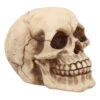 Kleiner Grinsender Totenkopf 12cm 2 Kleiner Grinsender Totenkopf 12cm -Halloween Kostüme Geschäft kleiner grinsender totenschaedel small joker skull totenkopf dekoration gothic deko 50730 01