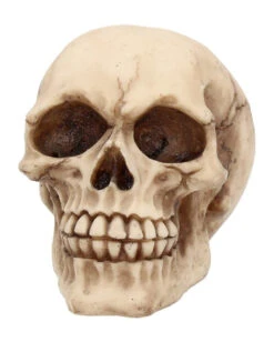 Kleiner Grinsender Totenkopf 12cm -Halloween Kostüme Geschäft kleiner grinsender totenschaedel small joker skull totenkopf dekoration gothic deko 50730 02