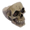 Aschenbecher Totenschädel -Halloween Kostüme Geschäft schaedel aschenbecher totenkopf dekoration skeleton ash tray 27476