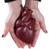 Realistisches Menschenherz Aus Gelatine -Halloween Kostüme Geschäft schneidbares menschenherz aus gelatine sliceable human heart made of gelatin halloween deko 52573 01