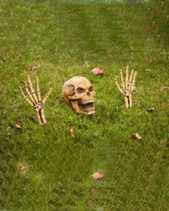 Ground Breaker Totenschädel Und Knochenhände Set