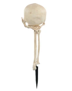 Skeletthand Mit Totenkopf Gartenstecker -Halloween Kostüme Geschäft skeletthand mit totenschaedel gartenstecker skull in hand groundbreaker 52647 03