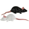 Gummi Ratte 11cm - Schwarz / Weiß -Halloween Kostüme Geschäft stretch ratten 11cm schwarz weiss gummiratten halloweendeko gummimaus fuer halloween 29818 neu