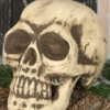 Totenschädel 32cm -Halloween Kostüme Geschäft totenkopf 32cm totenschaedel halloween dekoration skull decoration 35978